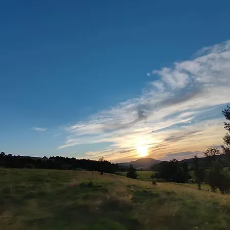 Lepiej Trafic Nie Mogliscie *