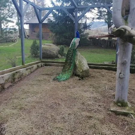 Lepiej Trafic Nie Mogliscie *