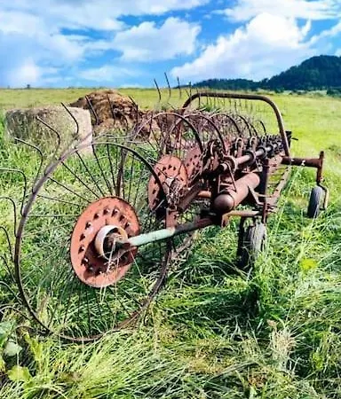 Роскошный шатер Lepiej Trafic Nie Mogliscie