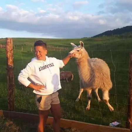 Lepiej Trafic Nie Mogliscie * Mieroszow