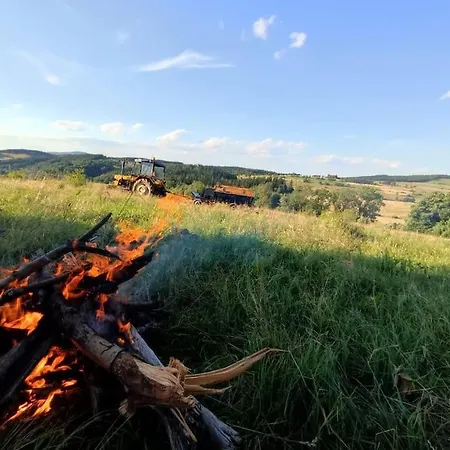 Роскошный шатер Lepiej Trafic Nie Mogliscie