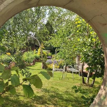 Lepiej Trafic Nie Mogliscie *