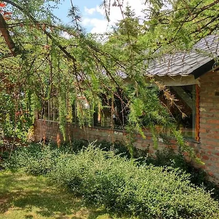 Роскошный шатер Lepiej Trafic Nie Mogliscie *