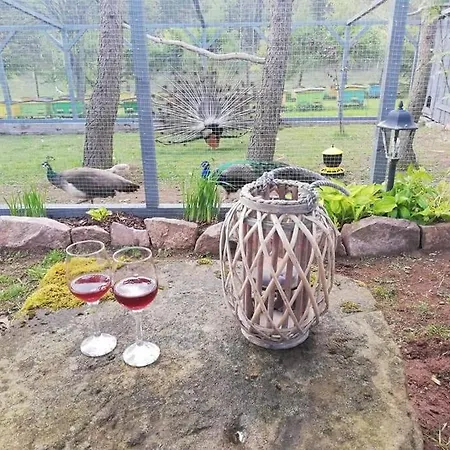 Роскошный шатер Lepiej Trafic Nie Mogliscie *