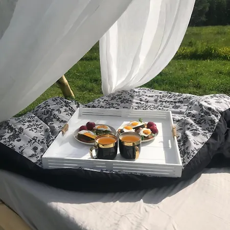 Lepiej Trafic Nie Mogliscie * Mieroszow