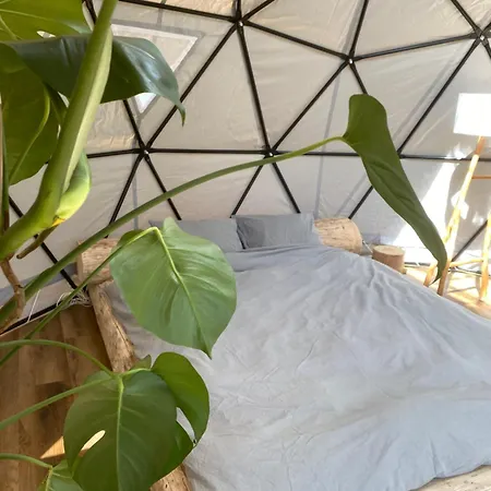 Lepiej Trafic Nie Mogliscie * Mieroszow