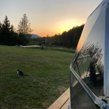 Lepiej Trafic Nie Mogliscie *