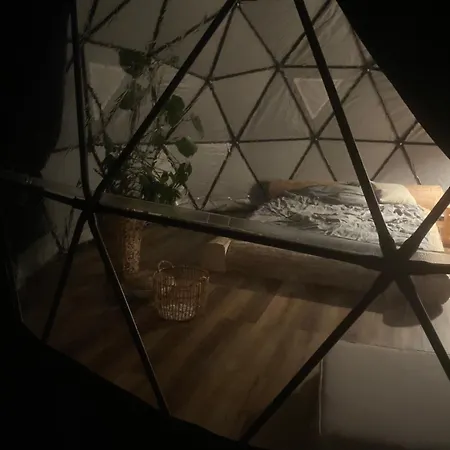 Lepiej Trafic Nie Mogliscie Mieroszow