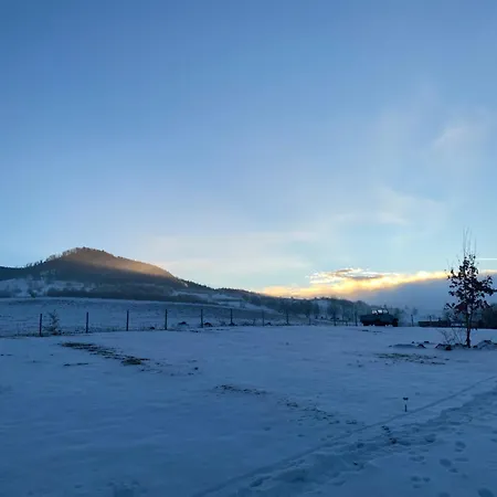 Lepiej Trafic Nie Mogliscie Роскошный шатер *