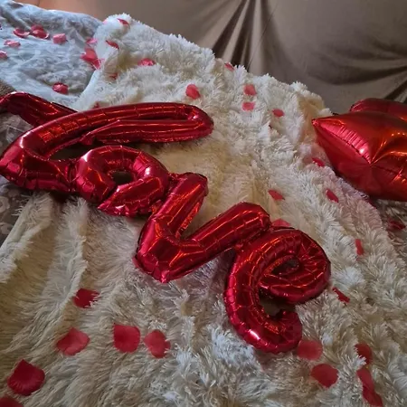 Роскошный шатер Lepiej Trafic Nie Mogliscie *