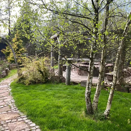 Роскошный шатер Lepiej Trafic Nie Mogliscie