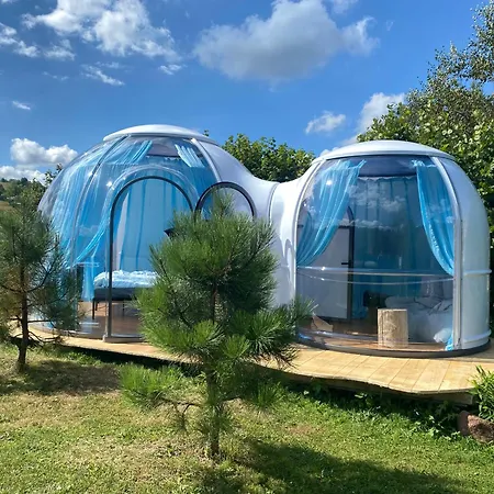 Lepiej Trafic Nie Mogliscie