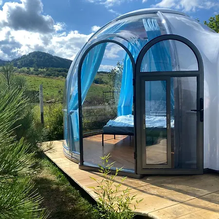 Lepiej Trafic Nie Mogliscie *