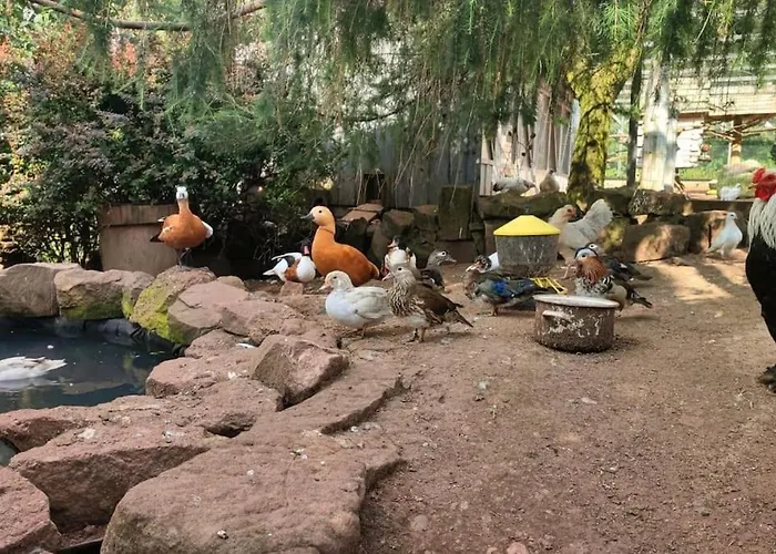 Lepiej Trafic Nie Mogliscie * Mieroszow