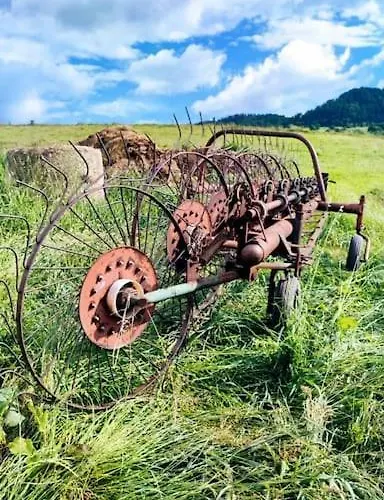 Luxe tent Lepiej Trafic Nie Mogliscie