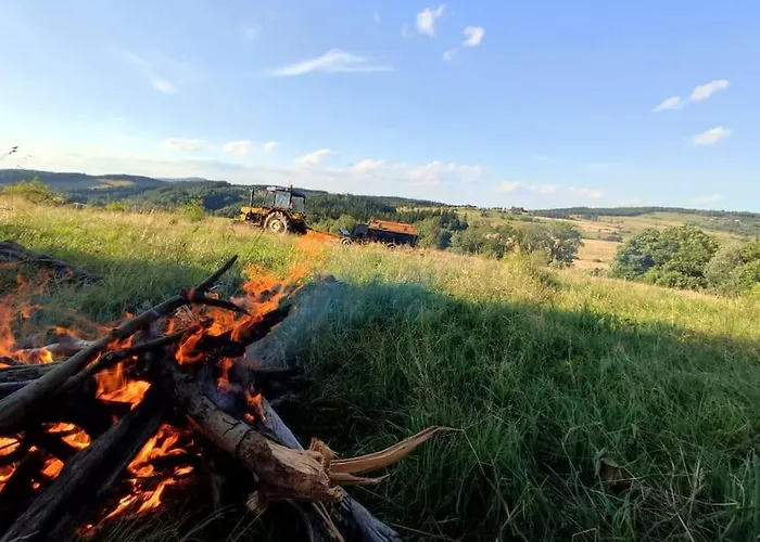 Luxe tent Lepiej Trafic Nie Mogliscie
