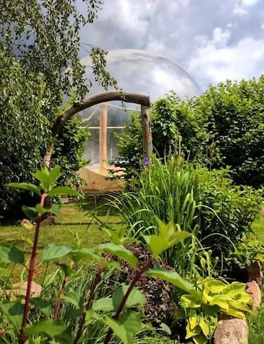 Lepiej Trafic Nie Mogliscie