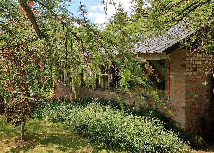 Luxe tent Lepiej Trafic Nie Mogliscie *