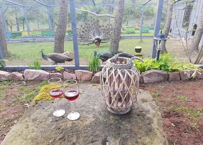 Luxe tent Lepiej Trafic Nie Mogliscie *