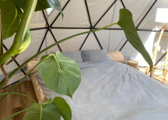 Lepiej Trafic Nie Mogliscie * Mieroszow