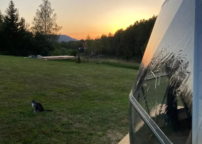 Lepiej Trafic Nie Mogliscie *