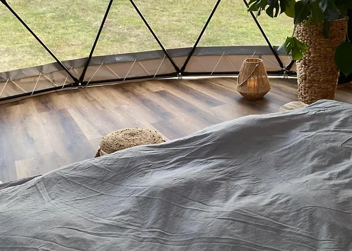 Lepiej Trafic Nie Mogliscie Mieroszow