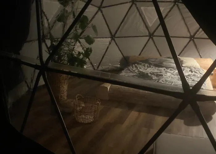 Lepiej Trafic Nie Mogliscie Mieroszow