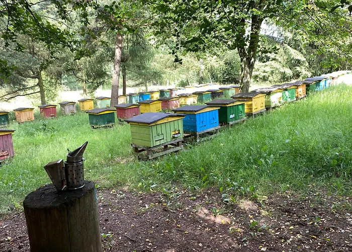 Lepiej Trafic Nie Mogliscie *