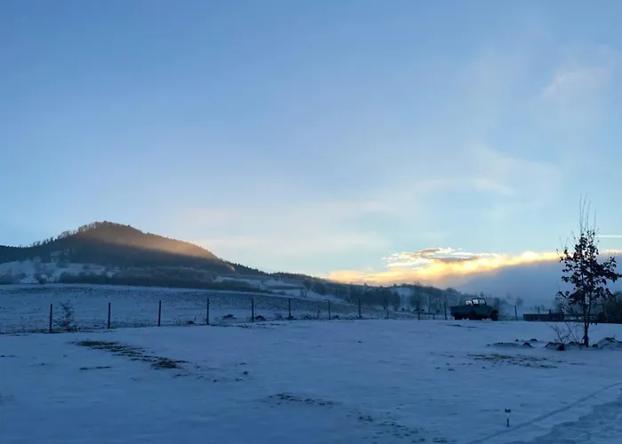Lepiej Trafic Nie Mogliscie Luxe tent *