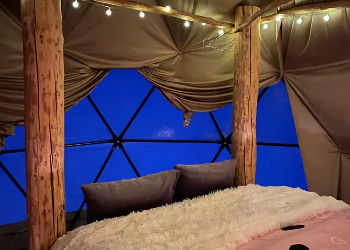 Lepiej Trafic Nie Mogliscie *