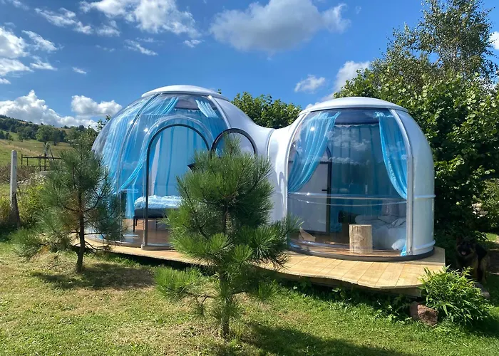 Lepiej Trafic Nie Mogliscie