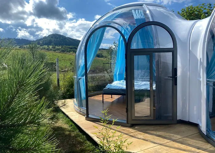 Lepiej Trafic Nie Mogliscie *