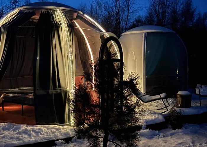 Lepiej Trafic Nie Mogliscie