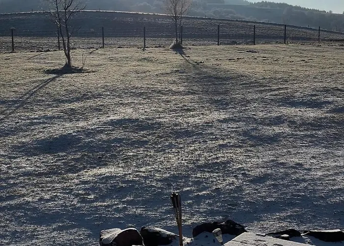 Lepiej Trafic Nie Mogliscie * Mieroszow